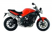 2010 Triumph Speed Triple photo